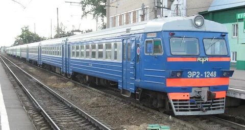 Туту куровская