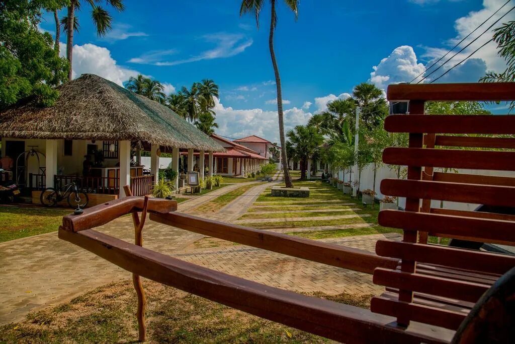 Шри Ланка Nilaveli. Нилавели Шри Ланка отели. Пляж Нилавели Шри Ланка. Palmera Eco Resort - Nilaveli.