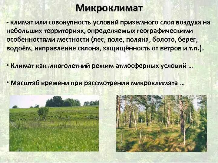 Микроклимат поля. Климат и микроклимат. микроклимат как явление приземного слоя атмосферы. микроклиматы россии. микроклимат пересеченной местности.