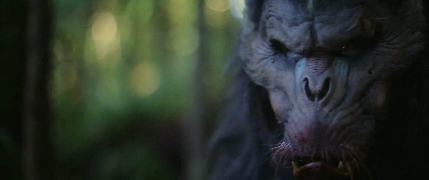 первобытная ярость. первобытная ярость. Casey gagliardi primal rage. кино первобытная ярость 2018. кино первобытная ярость 2018.