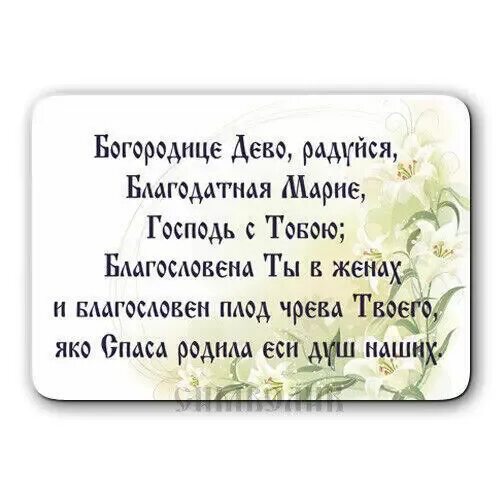 Богородица Дева радуйся молитва. Молитва Богородица Дева радуется.