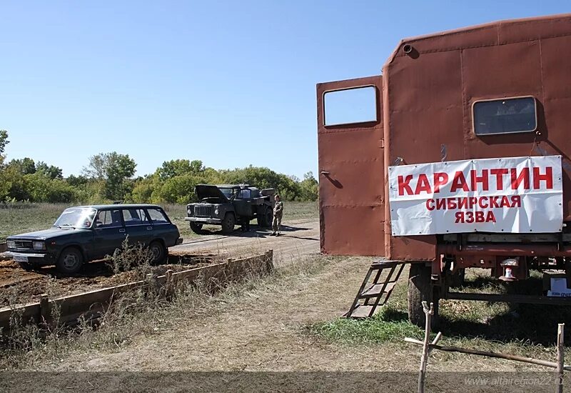 Село Марушка Целинный район Алтайский край. Село Овсянниково Алтайский край Целинный район. Дружба Целинный район Алтайский край. Совхоз Дружба Алтайский край Целинный район. Погода овсянниково целинный алтайский край