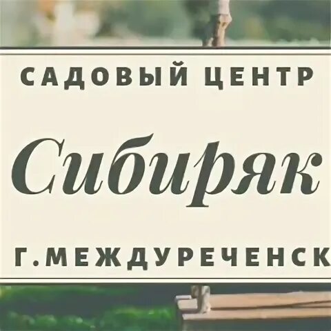 Сайт магазин сибиряк. Сайт магазин сибиряк