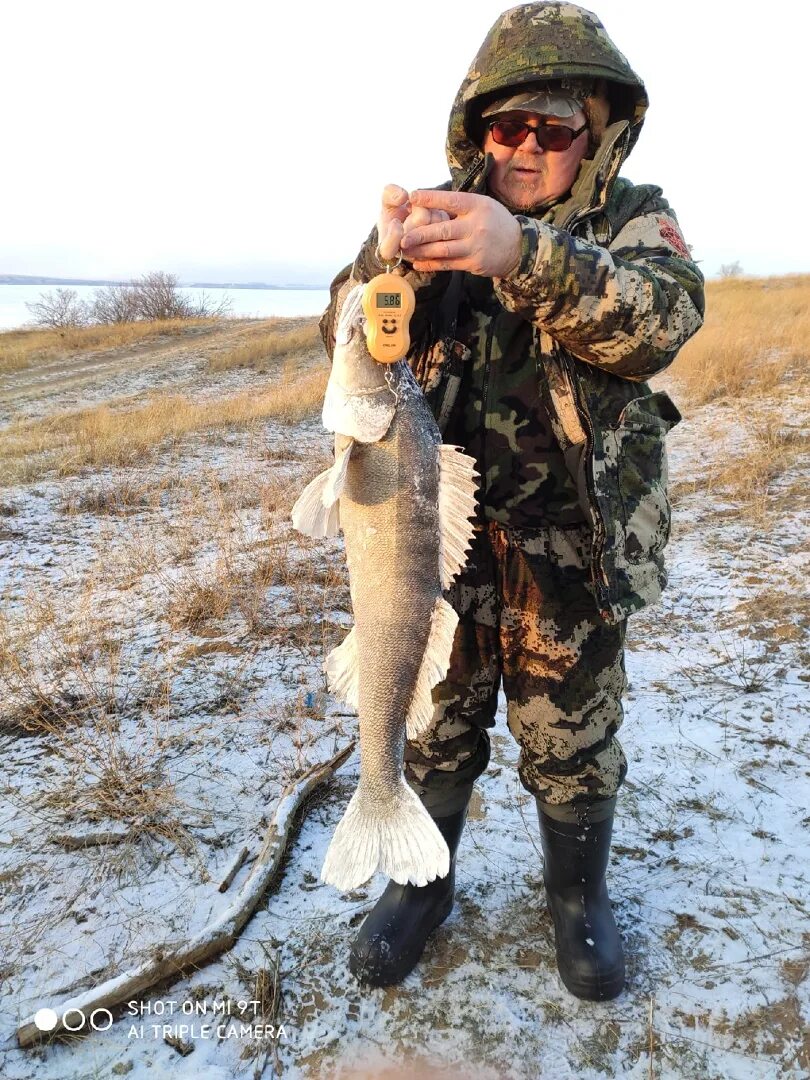 Волгоградское водохранилище рыбалка. Рыболовство Волгоград. Белгородское водохранилище рыбалка. Рыбалка в Волгоградской области.