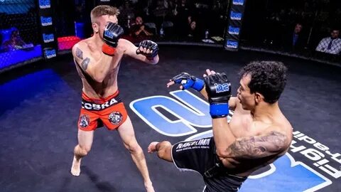 Mma трансляции