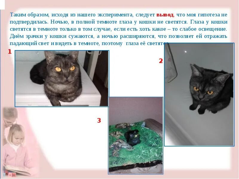 Почему кошка долго смотрит в глаза. Почему кошки видят в темноте. почему у кошек светятся глаза исследовательская работа. окружающий мир глазами кошки. почему у кошки светятся глаза проект.