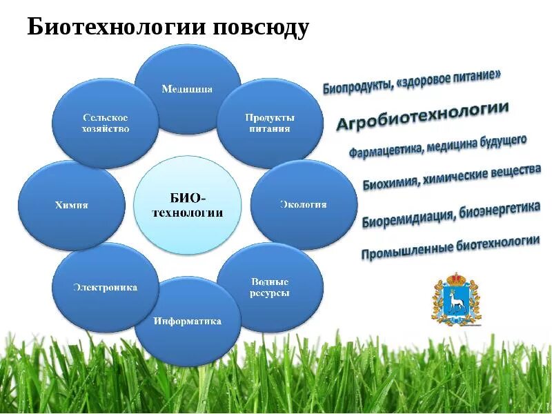 Сферы биотехнологии. Биотехнология презентация. Основы биотехнологии. Достижения биотехнологии. Понятие биотехнологии.