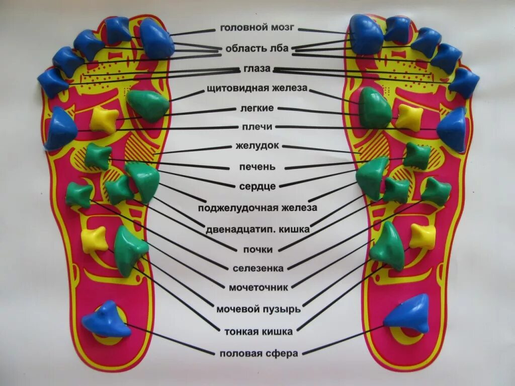 точки на пятках отвечающие за органы. рефлекторные зоны стопы схема органы. активные точки стопы акупунктура. рефлекторные зоны стоп. схема акупунктурных точек на стопе.