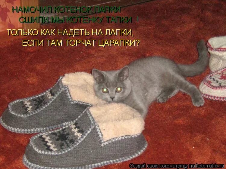 смешные тапки. тапочки мерседес бенц. веселые тапочки. Btm70500-65-40 p. встать с той ноги.