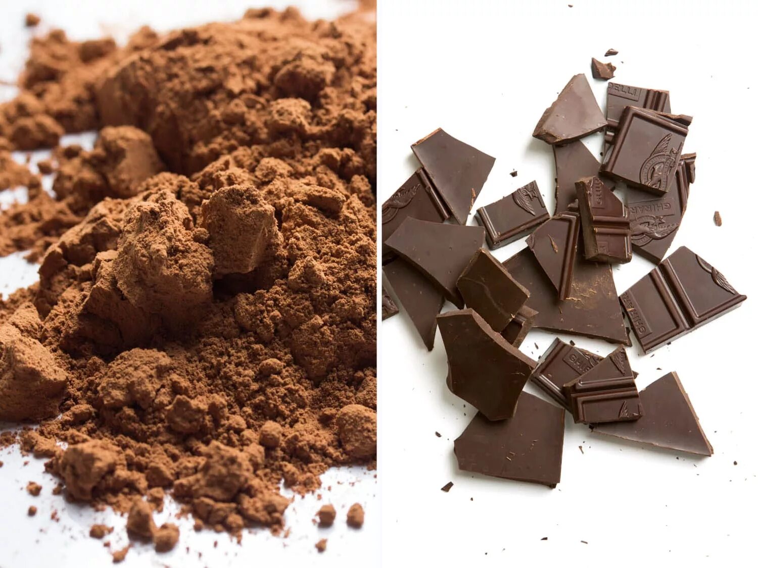 Chocolate is extracted from the