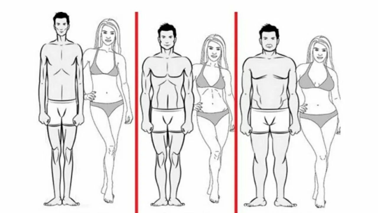 Дети астеники. Астеноидный тип телосложения у детей. Тип телосложения астенический эктоморф. Астенический нормостенический гиперстенический тип грудной клетки. Нормостеник.