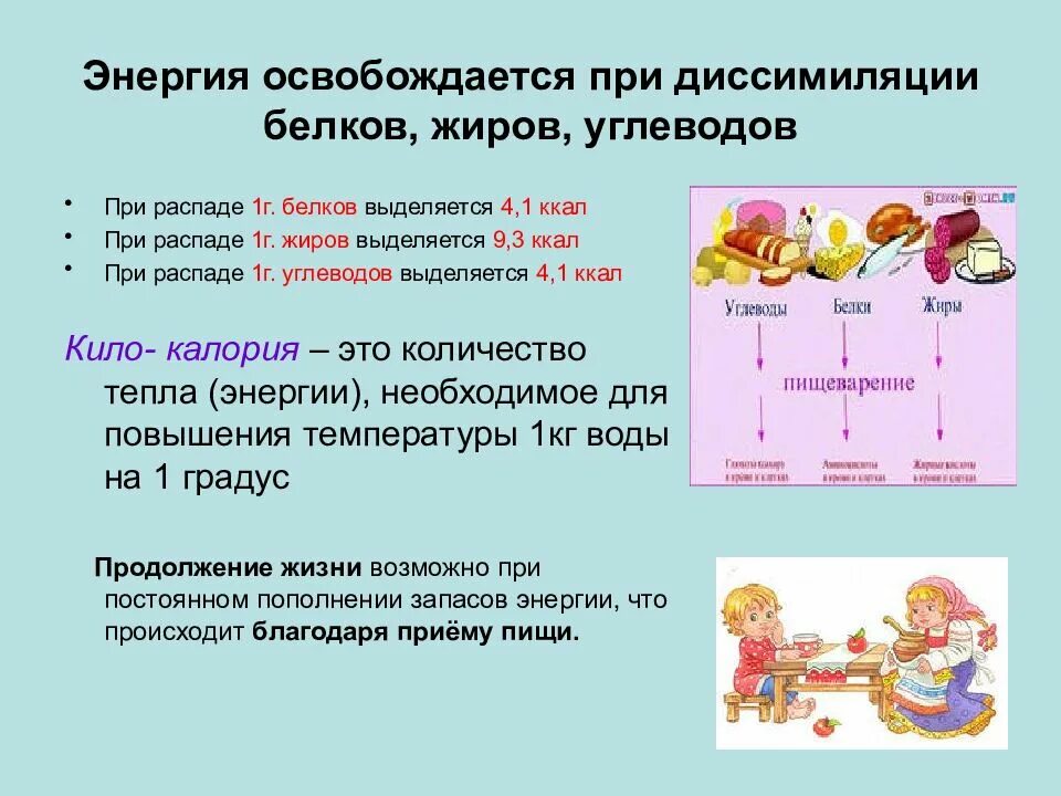 При расщеплении освобождается энергия