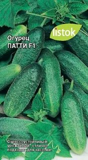Огурец сорт конни