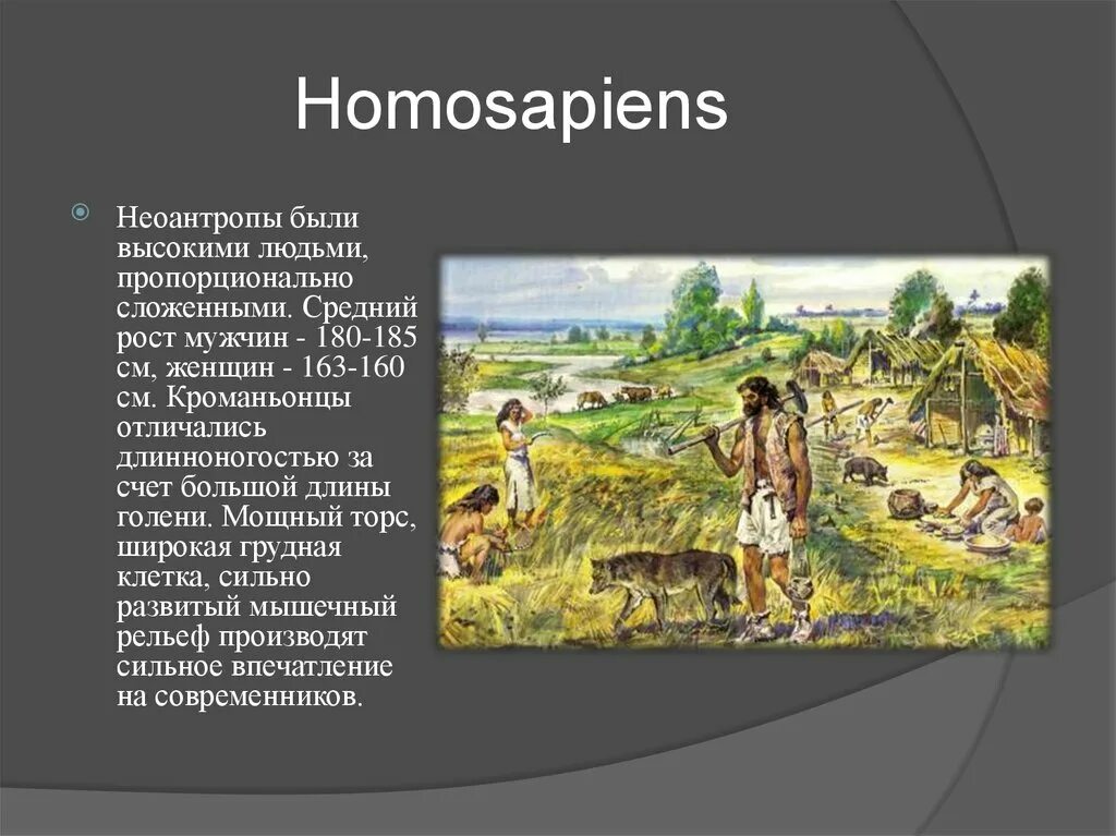 Неоантропы. Современные люди Неоантропы. Неоантропы образ жизни. Гипотезы о происхождении неоантропов. Социальные черты неоантропов