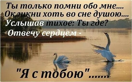 Помни обо мне стихи. Помни обо мне стихи мужчине. Стих вспомни обо мне. Стихи не вспоминаешь обо мне. Обо мне вспомнишь как проблемы