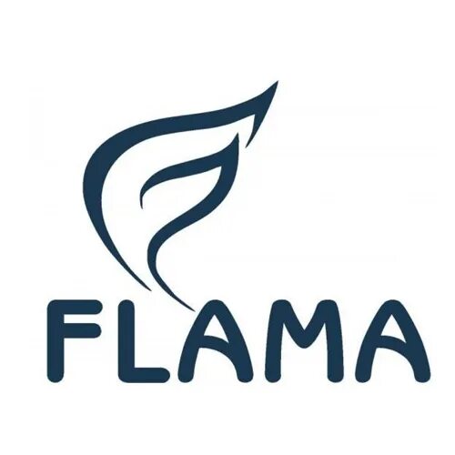 Каневский завод газовой. Flama логотип. Flama газовая плита логотип. Каневской завод газовой аппаратуры. Эмблемы производителей газовых плит.