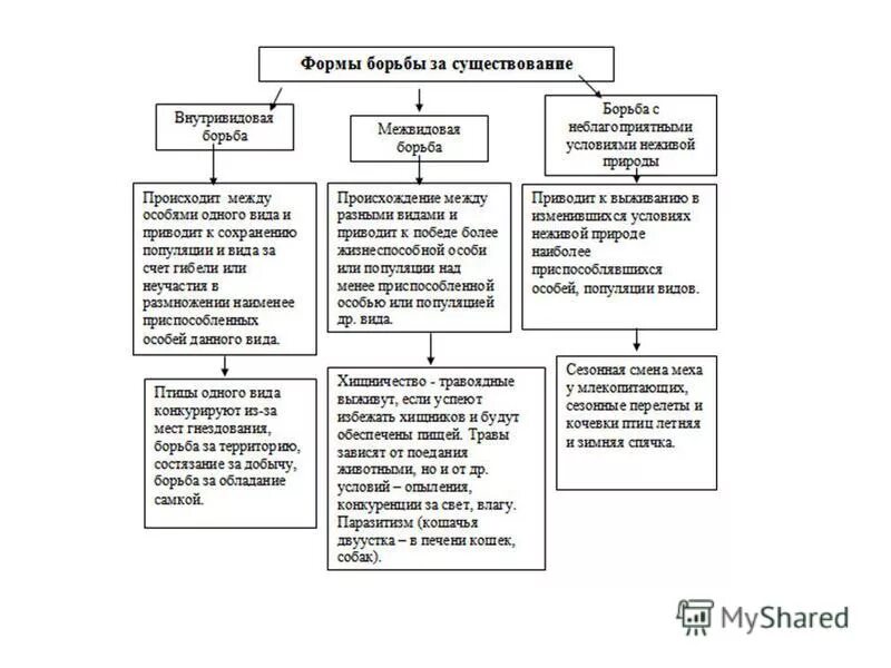 Формы борьбы за существование