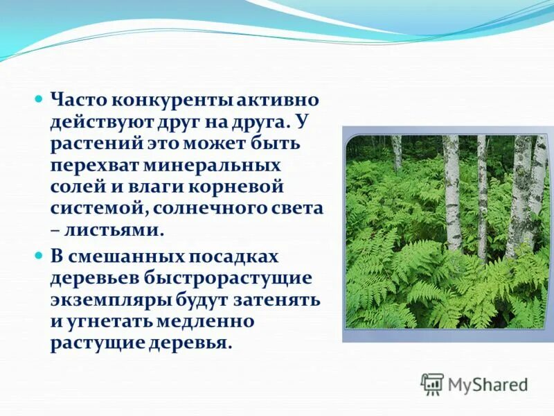 Овощи конкуренты. Производство овощей в россии статистика. Перечень овощей и фруктов для магазина. Страны поставщики фруктов и овощей. Овощи конкуренты.