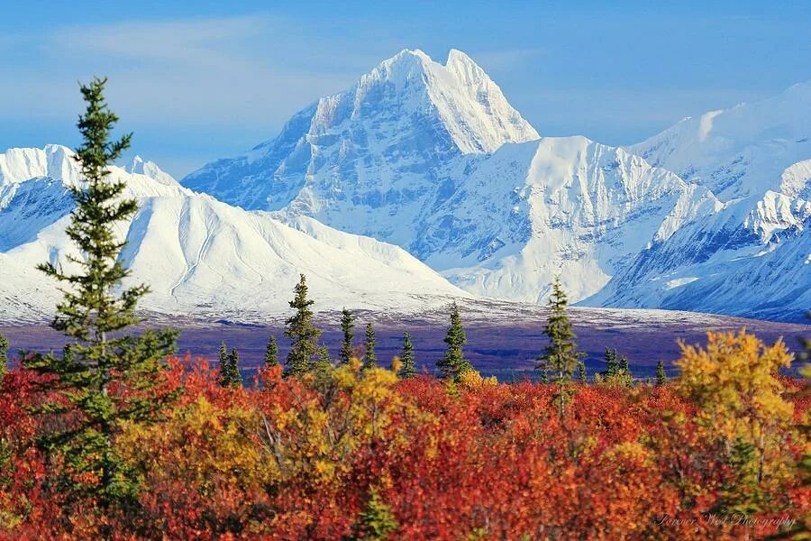 Какое время года в северной америке