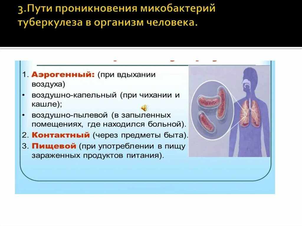 Возбудитель инфекции туберкулеза