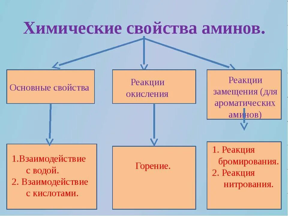 С чем реагируют амины. Химические свойства аммино. Свойства Аминов. Амины химические свойства. Химические реакции Аминов.