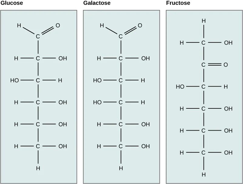 Галактоза формула химическая. Галактоза структура. Глюкоза и галактоза. Глюкоза фруктоза галактоза.
