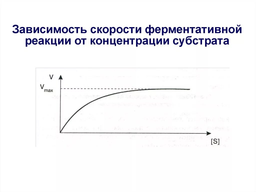 График зависимости скорости реакции от концентрации. Скорость реакции от концентрации субстрата. скорость ферментативной реакции от концентрации субстрата. зависимость ферментативной реакции от концентрации субстрата. зависимость скорости реакции от концентрации субстрата.