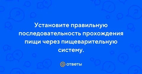 Правильная последовательность прохождения порции кислорода