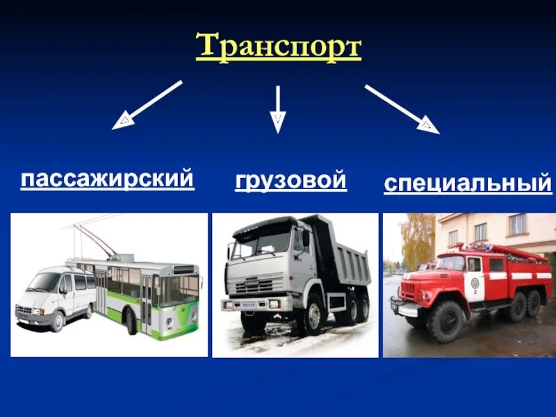 Транспортные средства бывают. Грузовой транспорт виды. Грузовой и пассажирский транспорт. Разновидности грузового транспорта. Пассажирские специальные и грузовые автомобили.