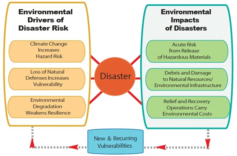 Consequences of natural Disasters. Causes of natural Disasters. Environmental causes. Types of Disasters. Spotlight natural disasters