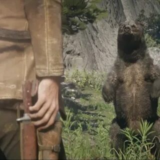 Где продать шкуру в rdr 2