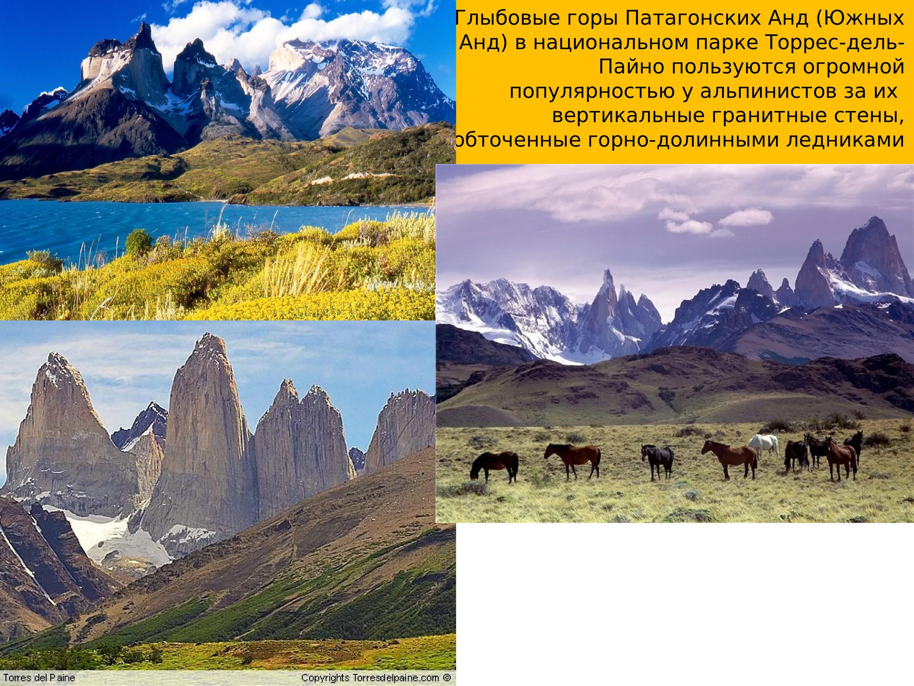 Складчатые глыбовые складчато -глыбовые горы. Складчато-глыбовые горы России. Глыбовые горы в Южной Америке. Складчатые горы Южной Америки.