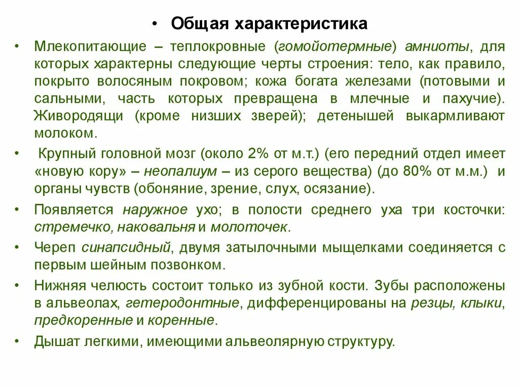 Общая характеристика млекопитающих. Основная характеристика млекопитающих. Класс млекопитающие общая характеристика. Характеристика класса млекопитающие.