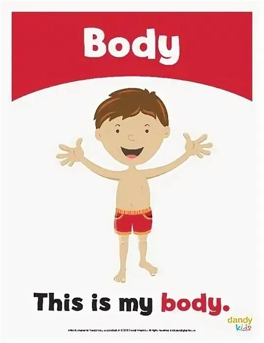 This is my body. Body Flashcards. Parts of the body Flashcards for Kids. My body Flashcards. My body фото.