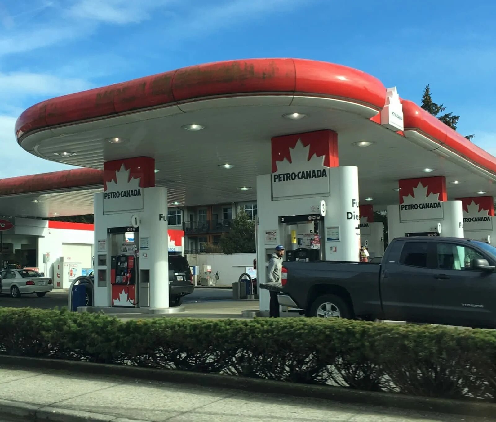 Канада стор. Petro Canada Station. Petro-Canada АЗС. Petro Gas. Ung Petro дизель.