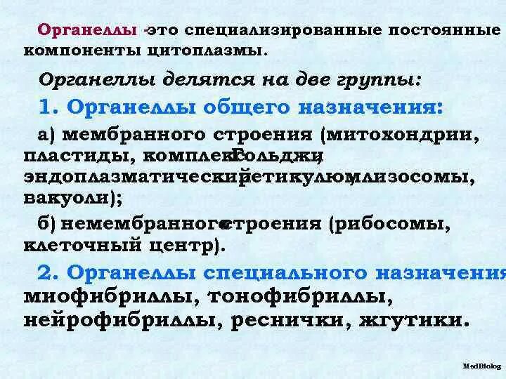 Строение и функции специальных органелл. Строение и функции специальных органелл