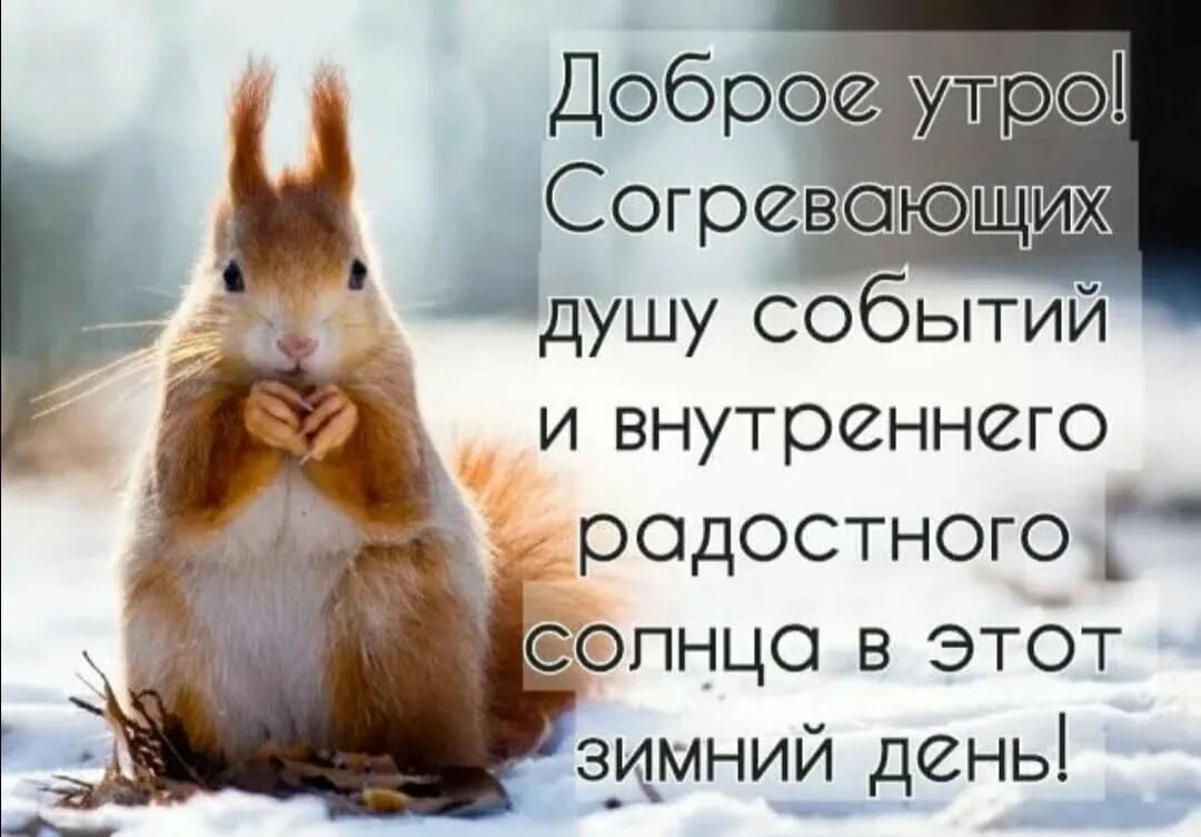 Картинки с добрым утром холодно с надписями