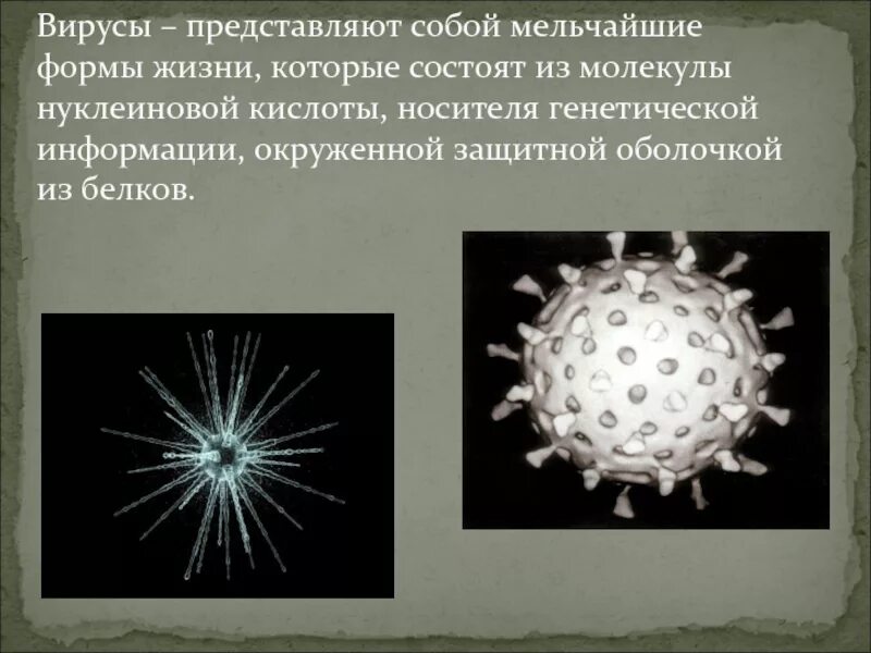 Вирус состоит из молекул. Вирусы представляют собой молекулы. вирусы состоя из молекул. . вирусы состоят из молекулы ... или ... и ....