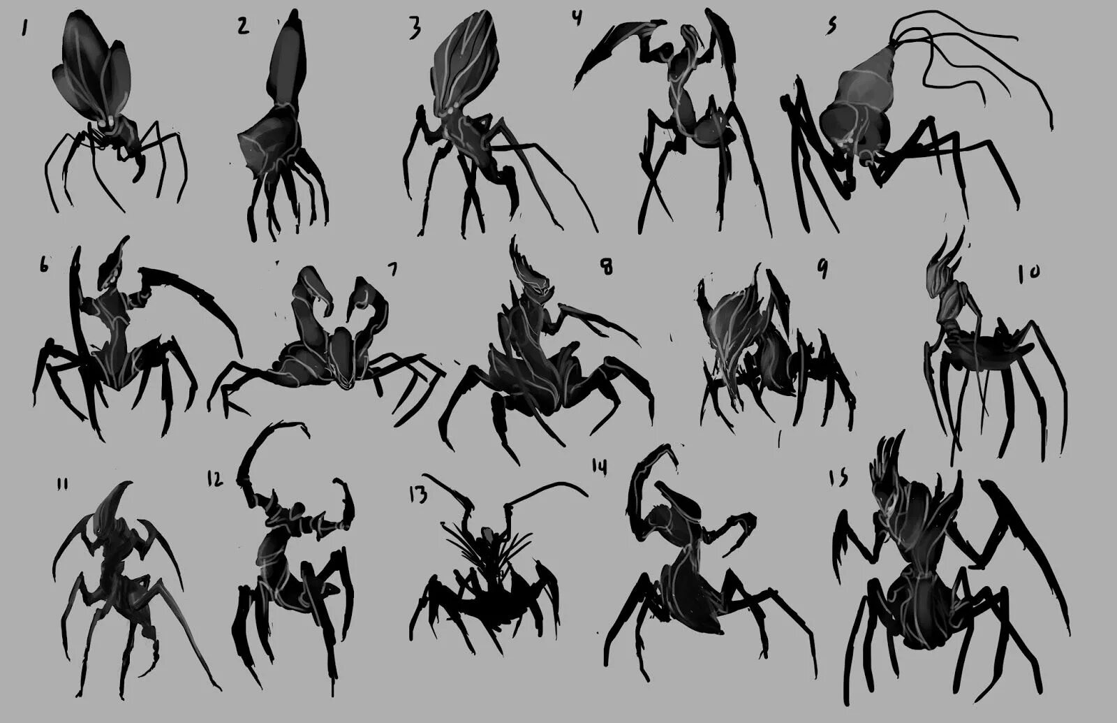 Паук референс. Референсы пауков. Черная вдова паук. Арахнид концепт арт. Референс пауков.