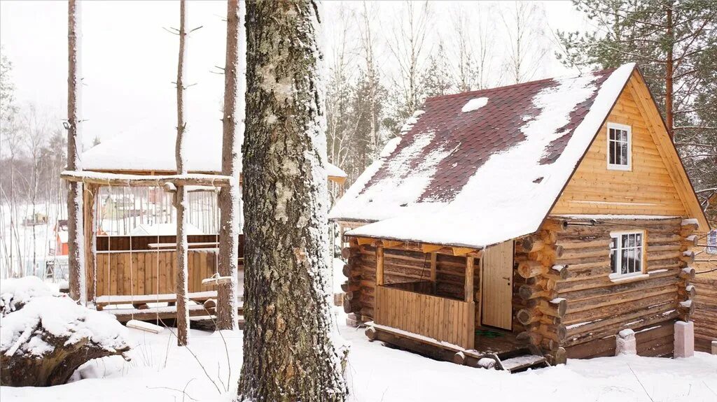 токсово база отдыха северный берег. токсово коттеджный поселок. снять домик в токсово. сторож на базе отдыха. светлая улица токсово.