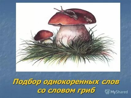Какое окончание в слове гриб