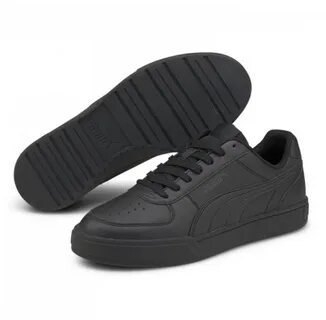Puma caven