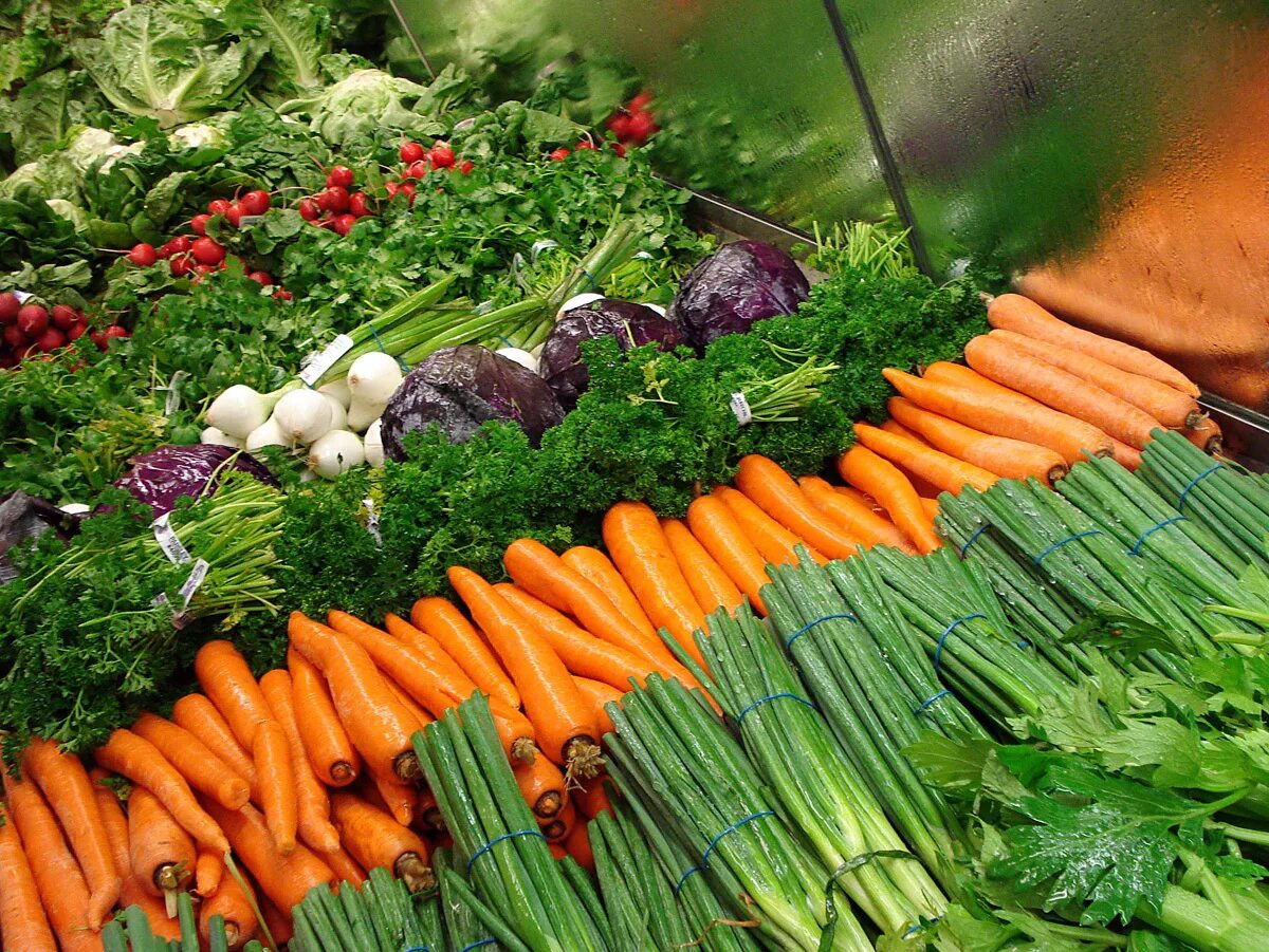 Овощи на грядке. Овощи и зелень. Свежие овощи. Сельское хозяйство овощи.