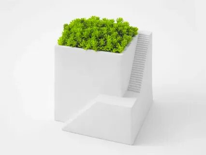 Mini plant