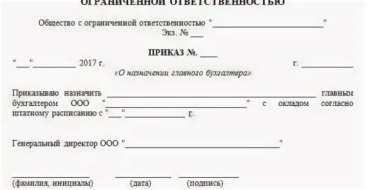 Приказ о назначении бухгалтера образец