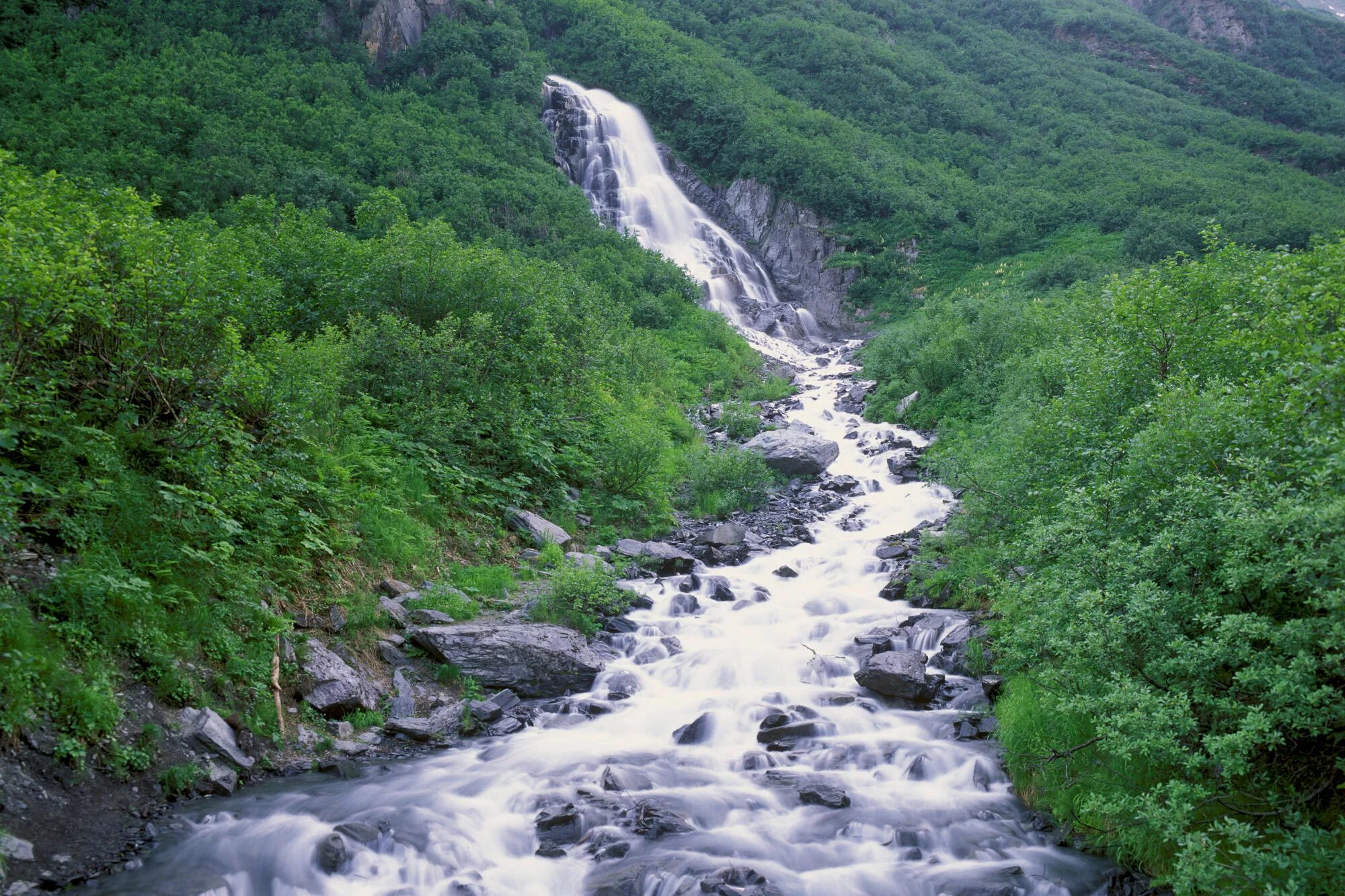 Неспокойными потоками воды. Река Мзымта кавказский заповедник. Река Шахе Кавказского заповедника. Водопад на реке Мзымта. Горная река Сочи бурная.