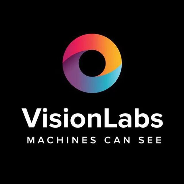 Visionlabs. компания visionlabs. Visionlabs logo. редсофт. Visionlabs logo.