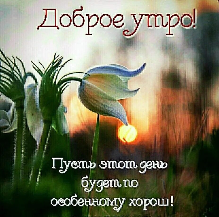 Открытки доброго утра со смыслом новые