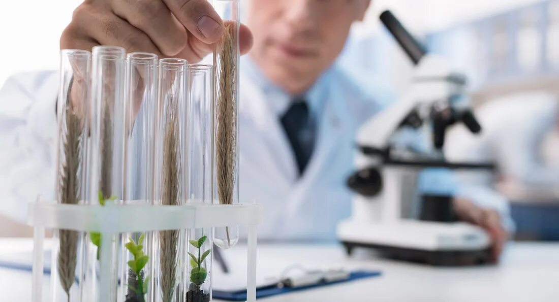 Профессор в лаборатории. Биомедицинская инженерия. Лабораторный метод исследования. Эмдз пробирка колба. Лабораторный метод исследования.