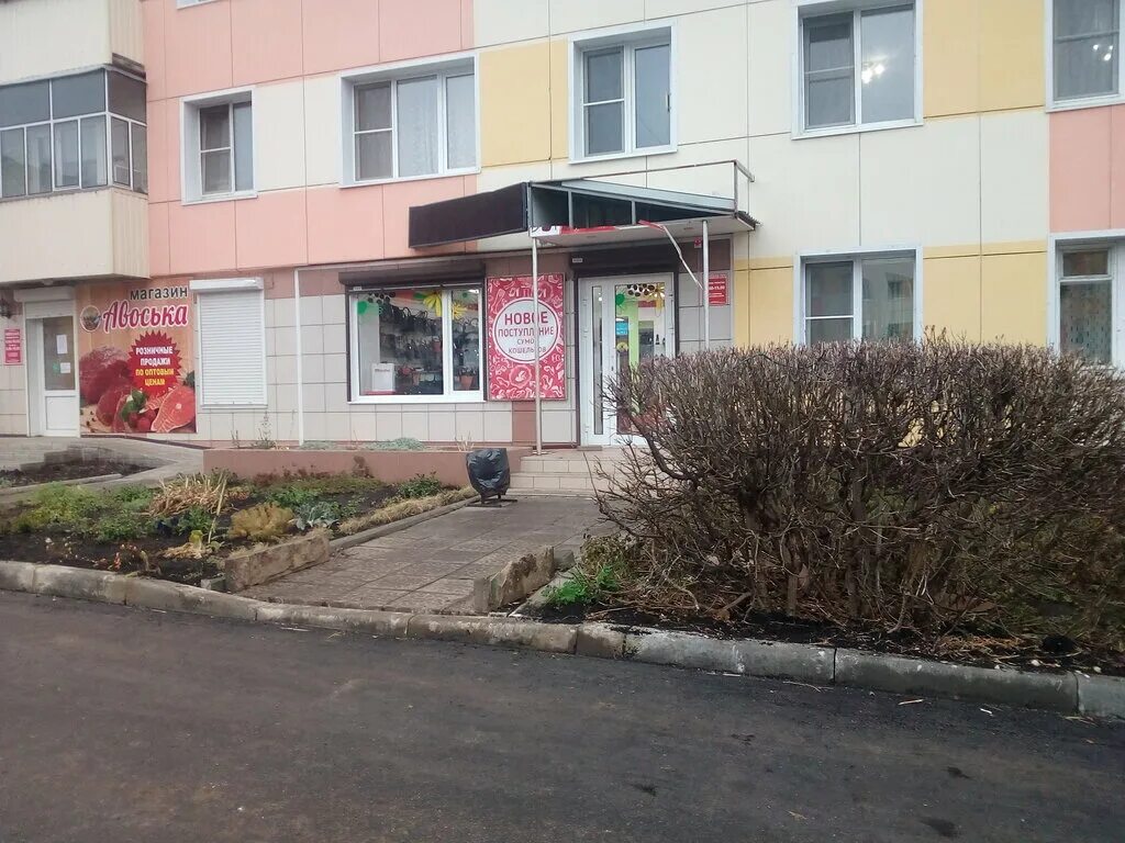 оптика рузаевка. ул ленина 37. улица ленина рузаевка. ленина 43 салон красоты. ленина 51 сургут.